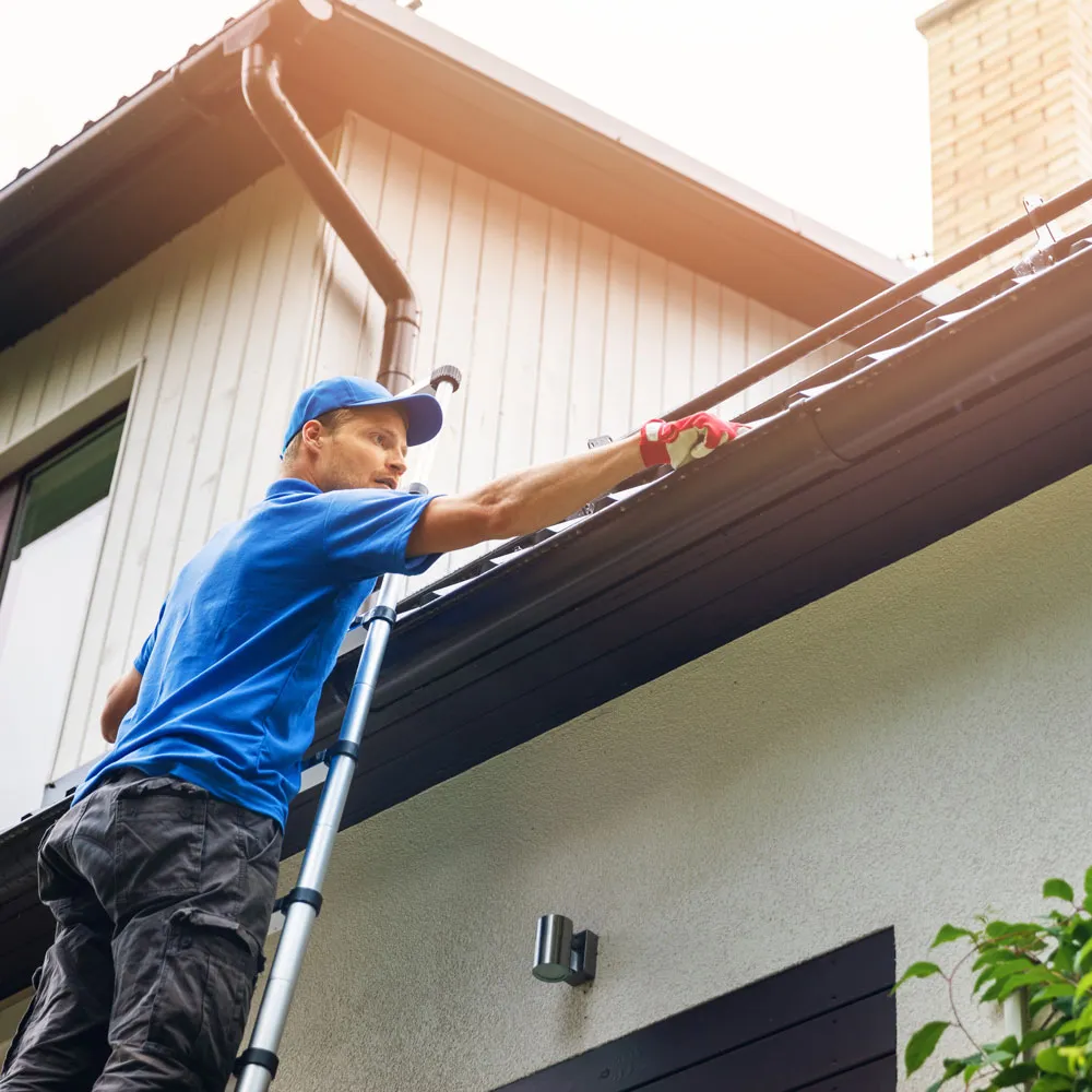 Our professional cleaning the gutters.