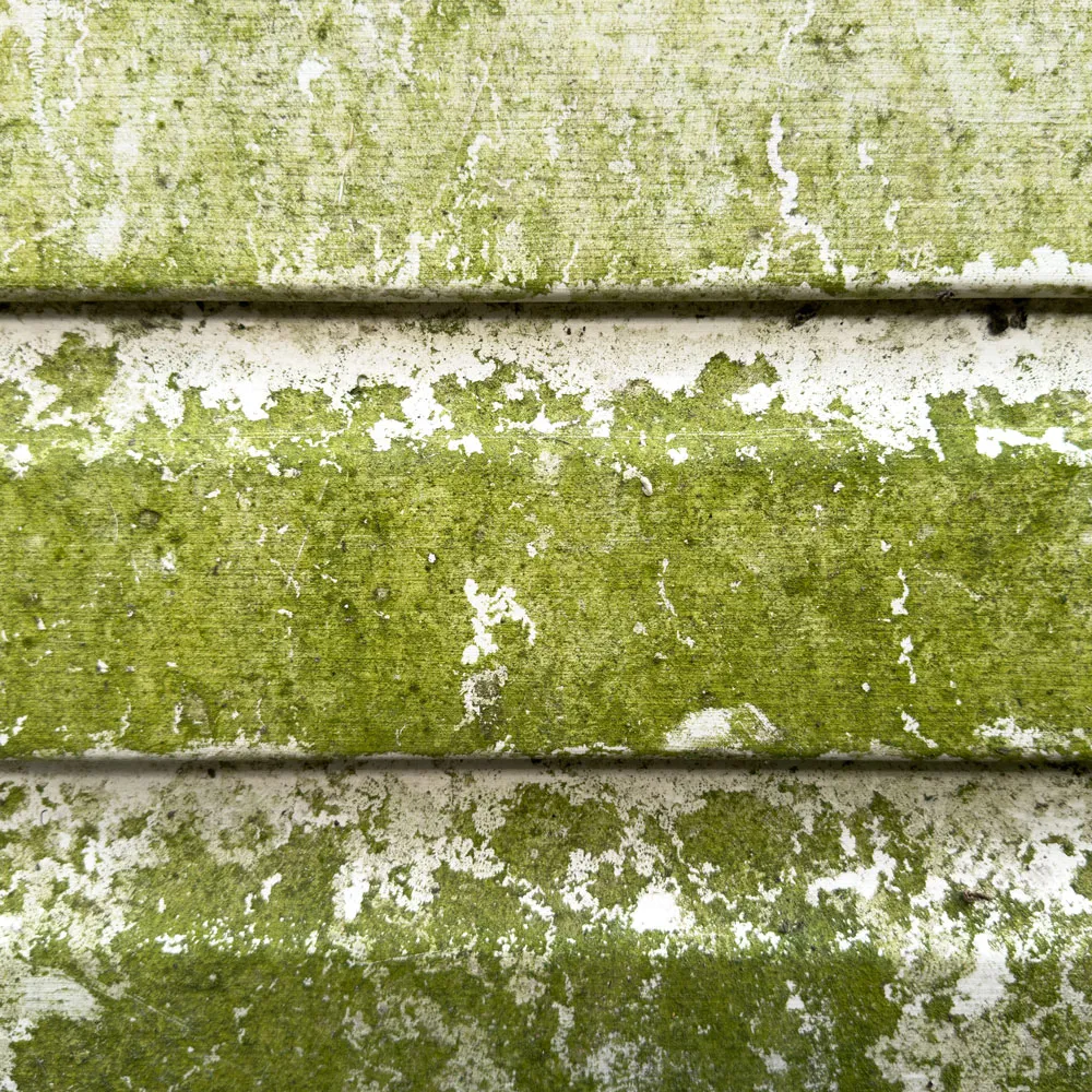 A dirty house siding.